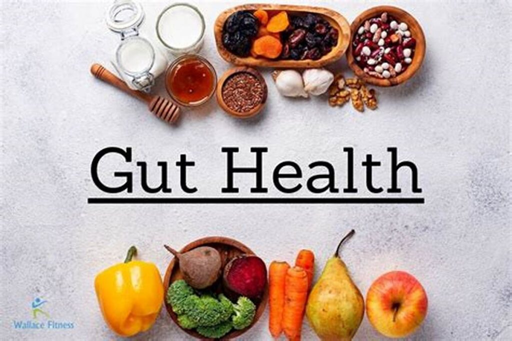 Gut Health